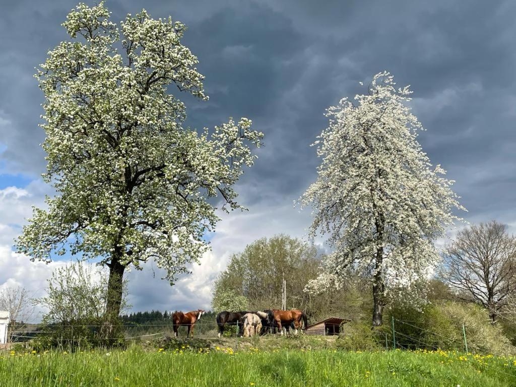 Reiterhof Fuellnhausen Apartment Kroge Екстериор снимка